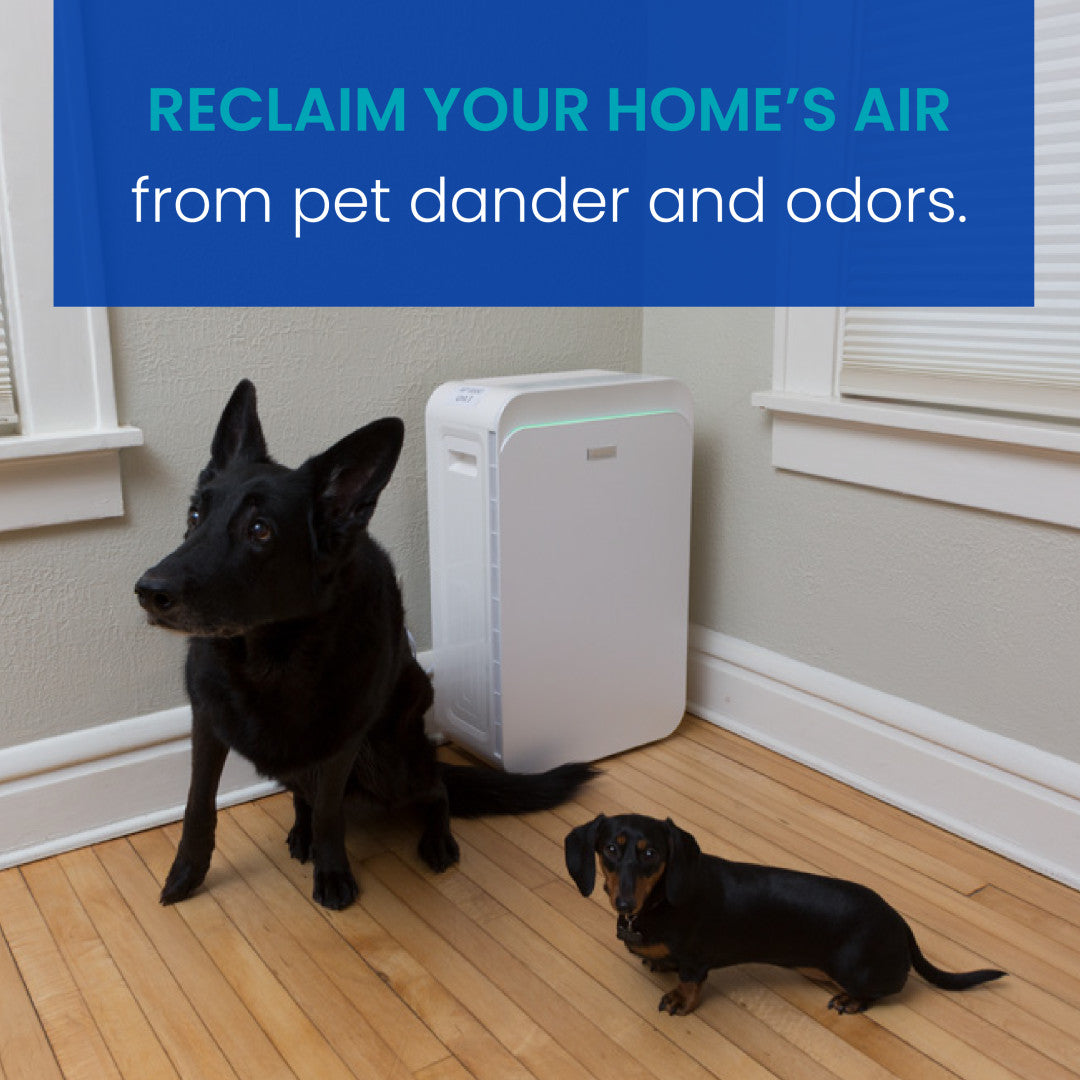AprilAire RF09550P True HEPA Air Filter for Dander, Allergens, & Odors